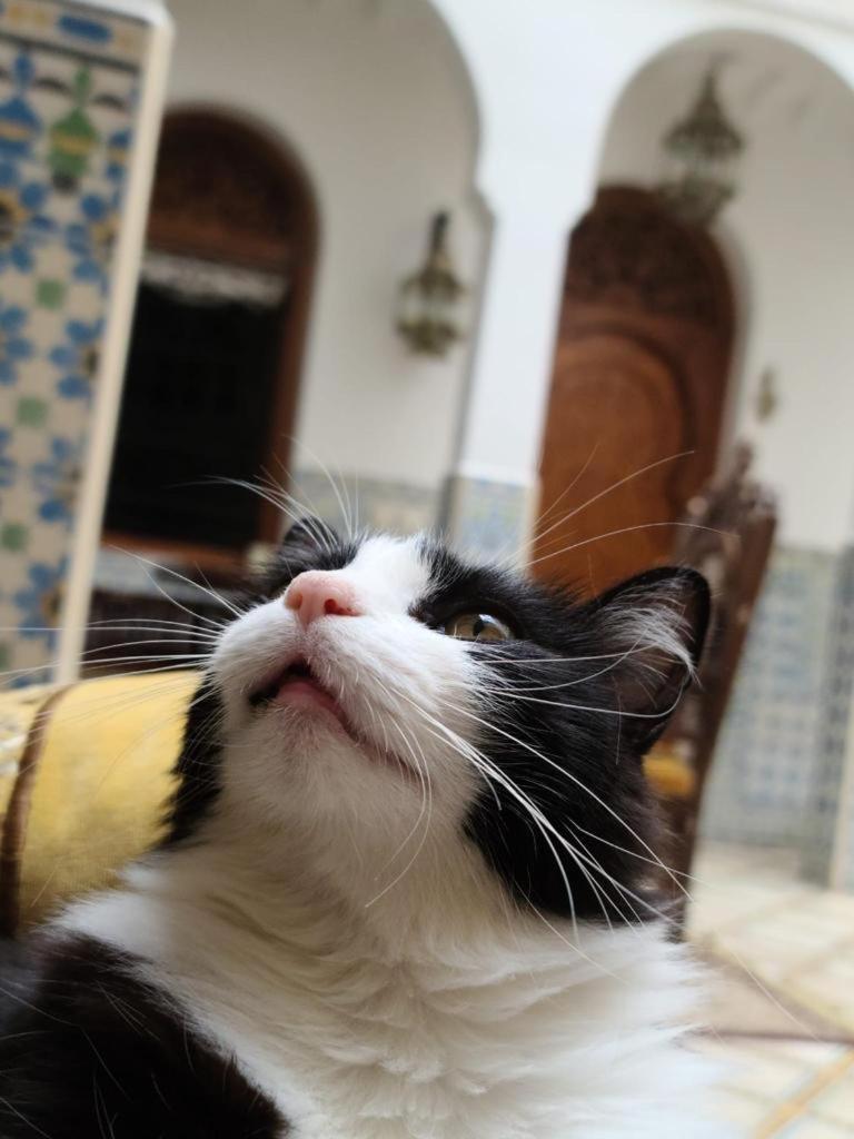 Riad Mouna Marrakesh Bagian luar foto