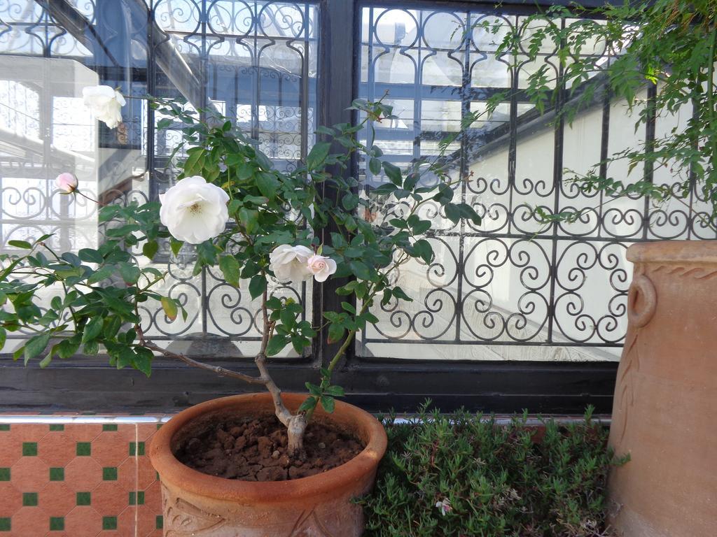 Riad Mouna Marrakesh Bagian luar foto